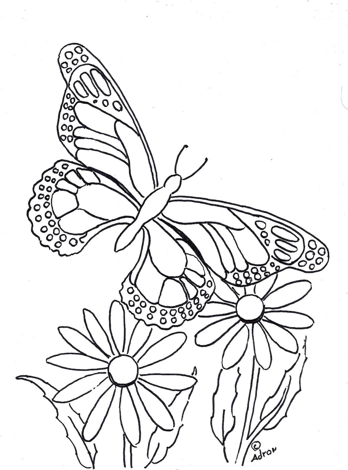 Coloring Picture Of A Butterfly 70