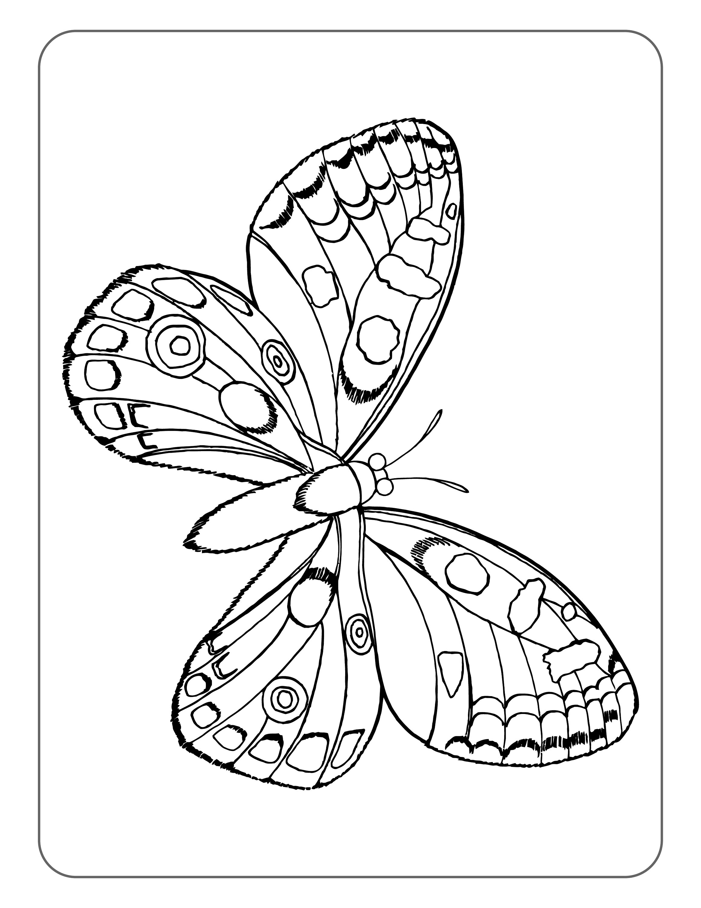 Coloring Picture Of A Butterfly 72