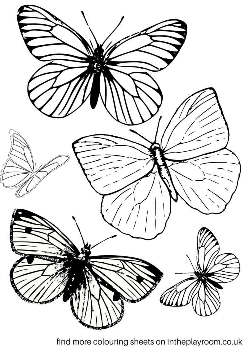 Coloring Picture Of A Butterfly 73