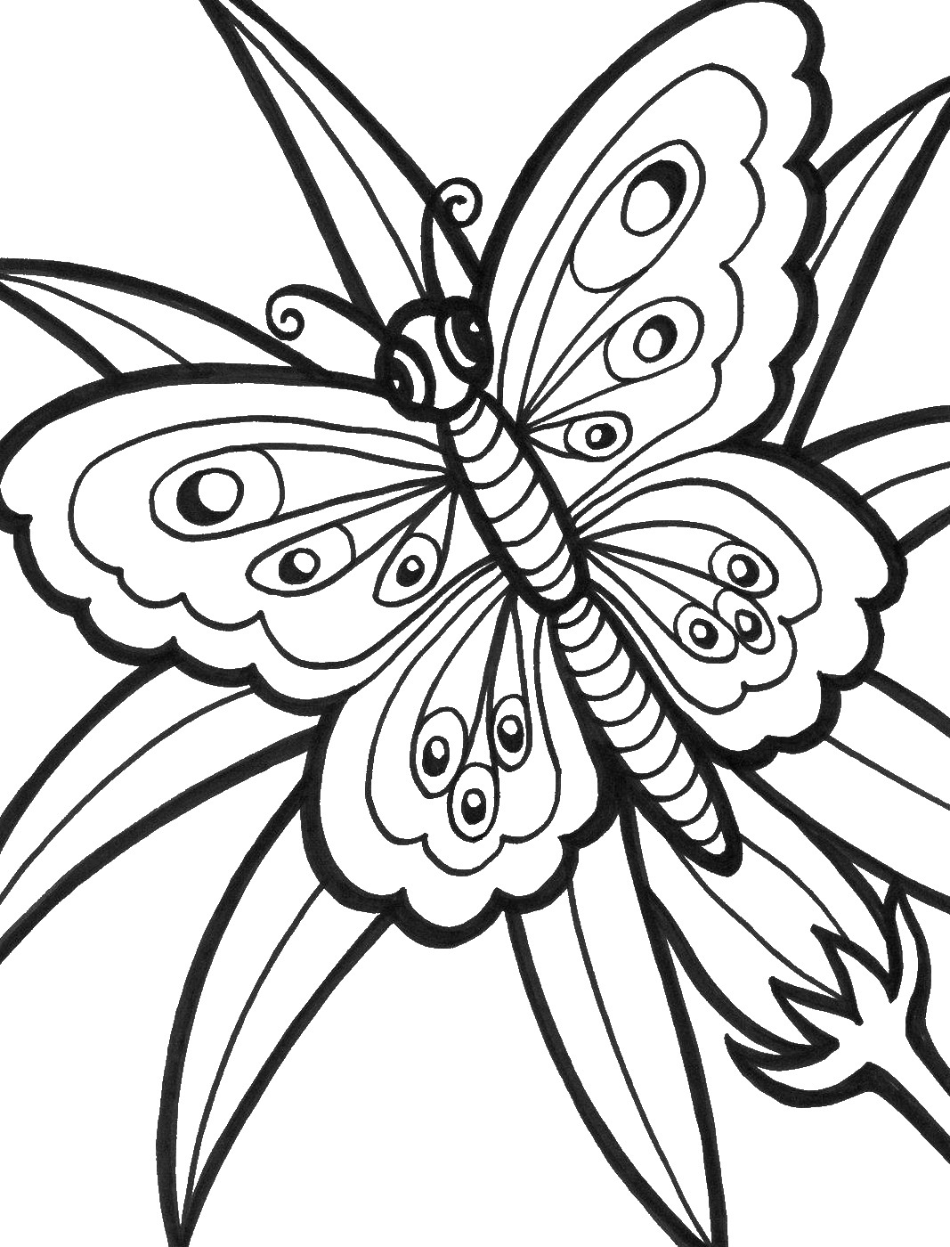 Coloring Picture Of A Butterfly 75