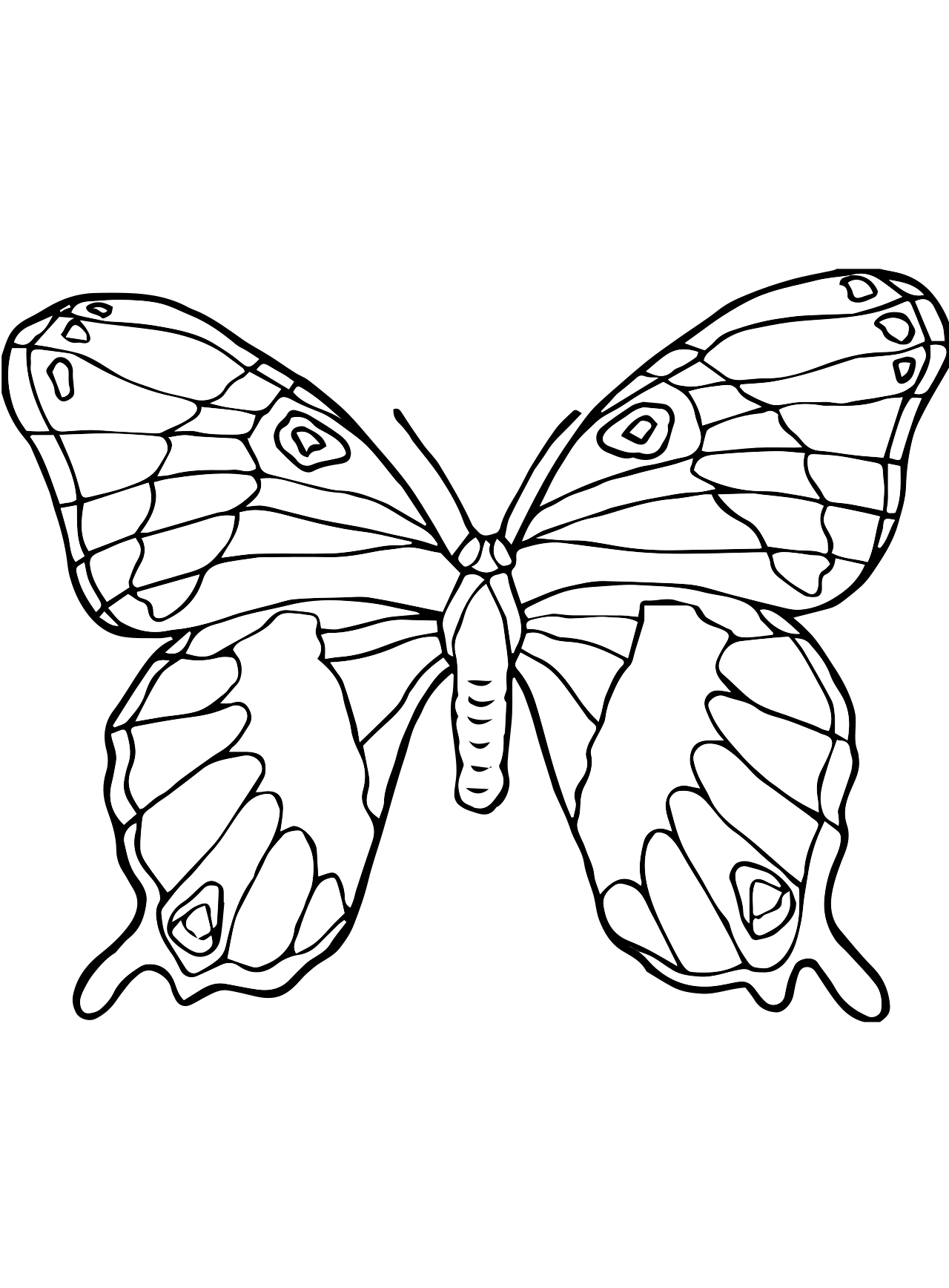 Coloring Picture Of A Butterfly 76