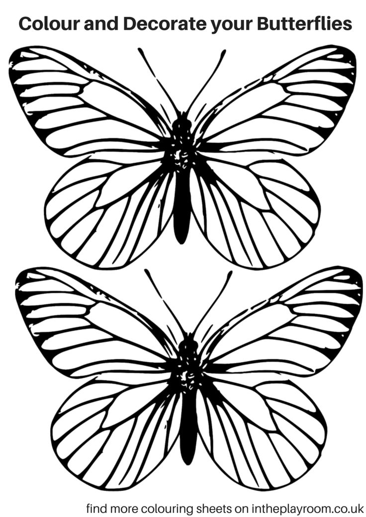 Coloring Picture Of A Butterfly 77