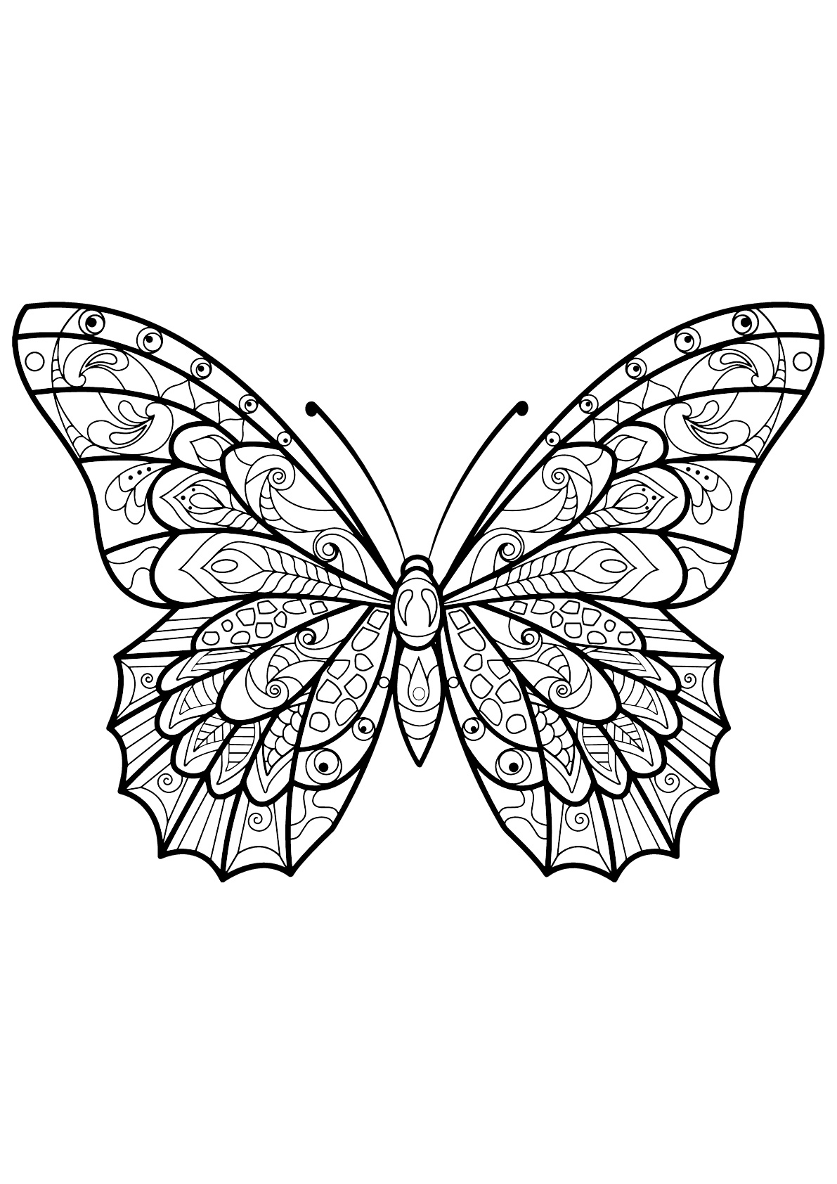 Coloring Picture Of A Butterfly 78