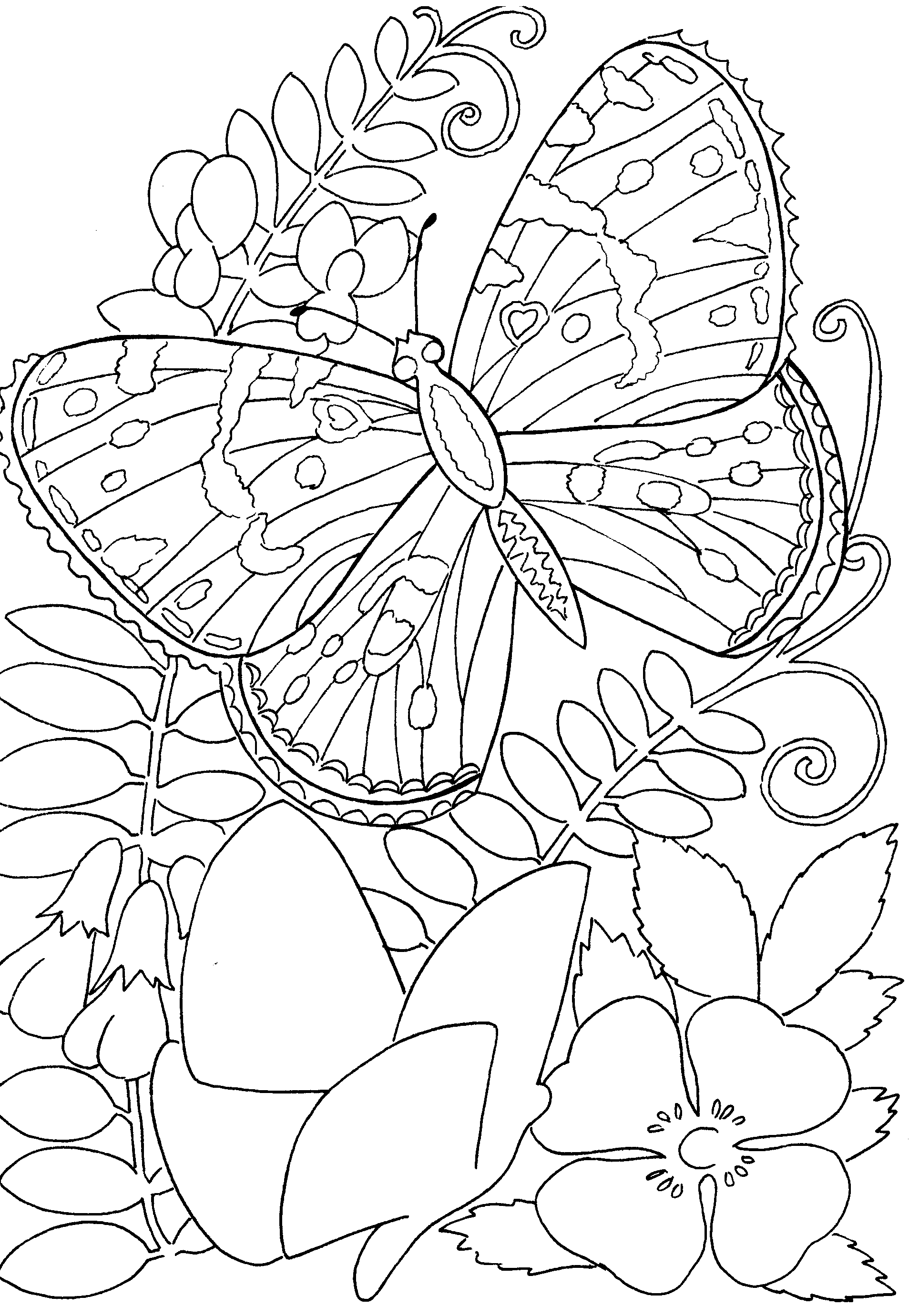 Coloring Picture Of A Butterfly 83