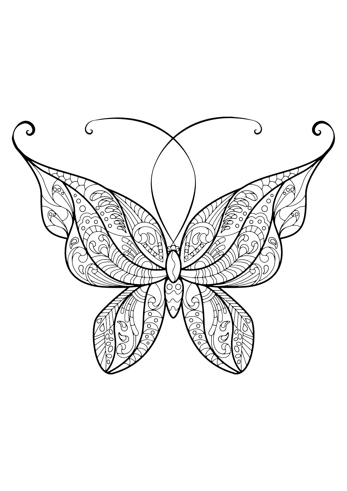 Coloring Picture Of A Butterfly 88