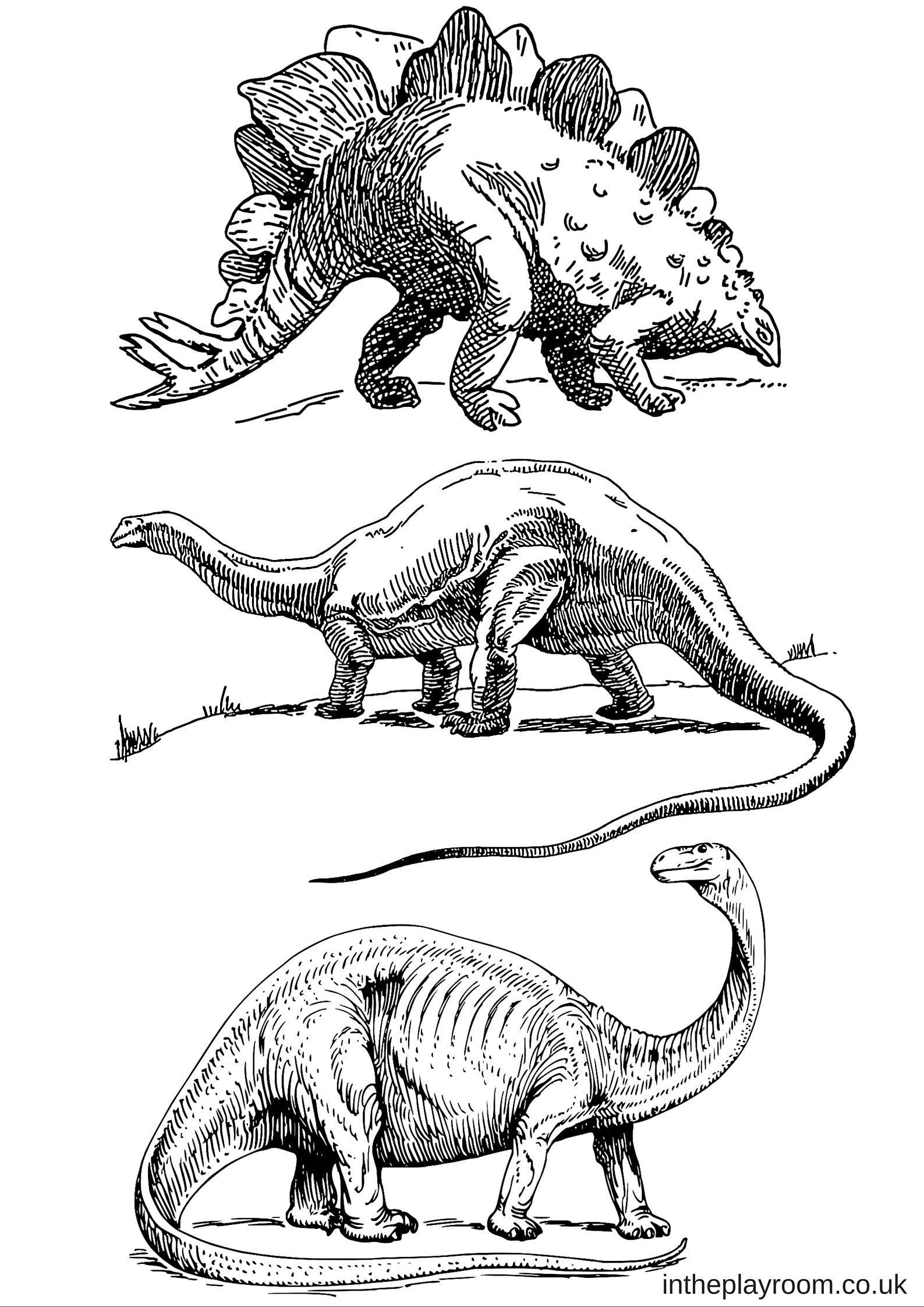 Dinosaur Printable Coloring Page 29