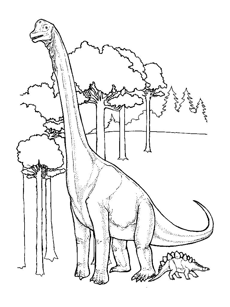 Dinosaur Printable Coloring Page 30