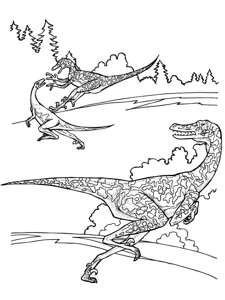 Dinosaur Printable Coloring Page 41