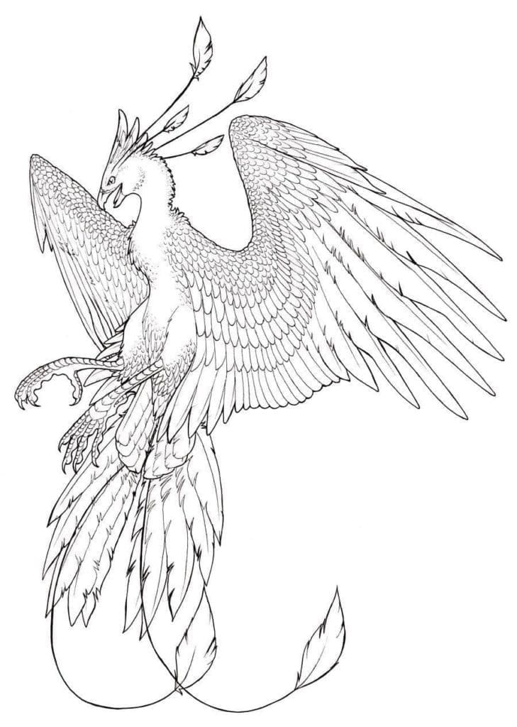 Phoenix Bird Coloring Pages 100