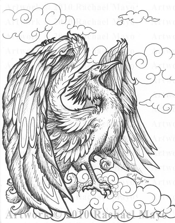 Phoenix Bird Coloring Pages 101