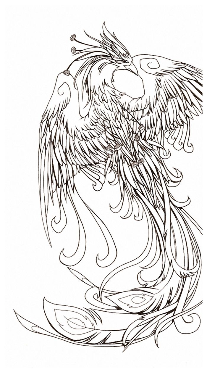 Phoenix Bird Coloring Pages 103