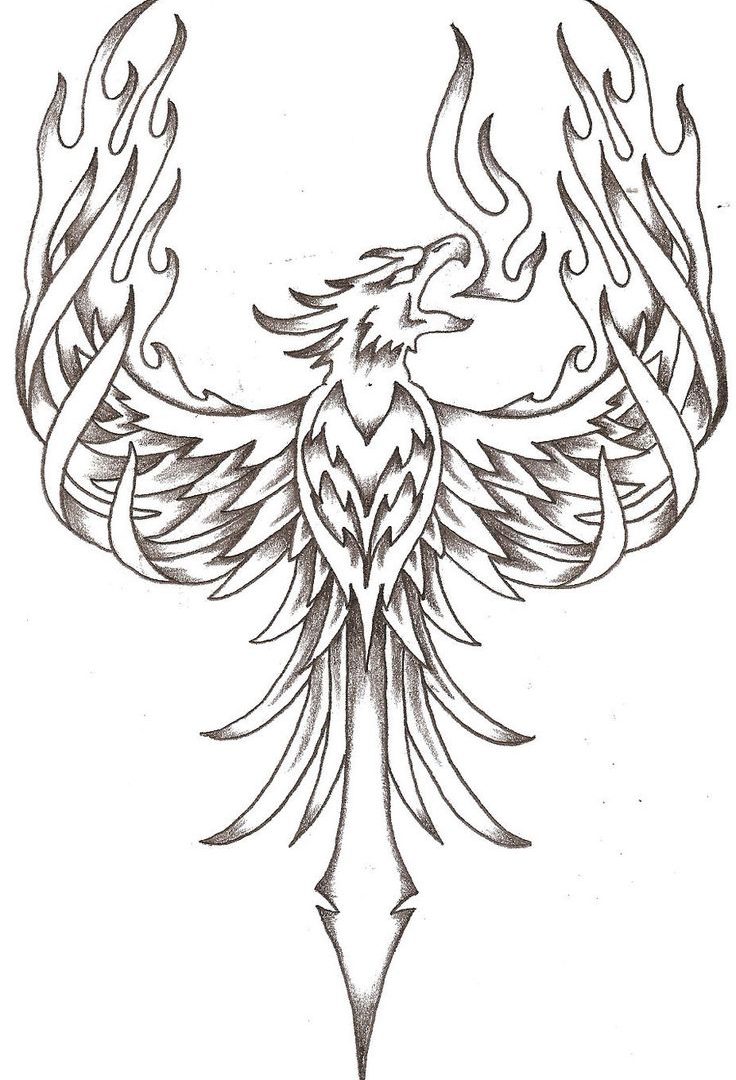 Phoenix Bird Coloring Pages 12