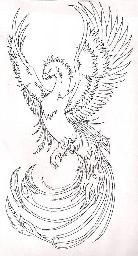 Phoenix Bird Coloring Pages 19