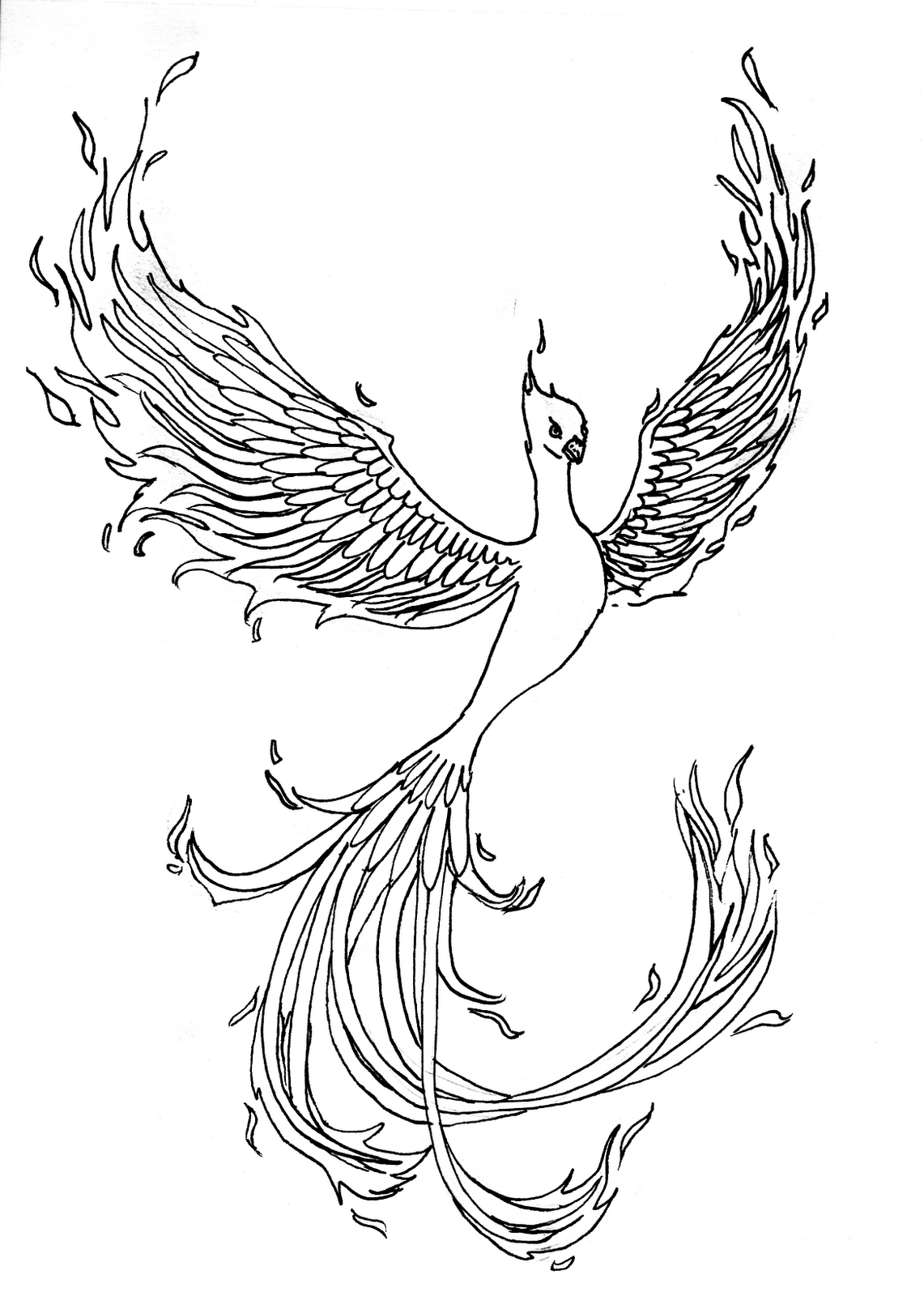 Phoenix Bird Coloring Pages 24