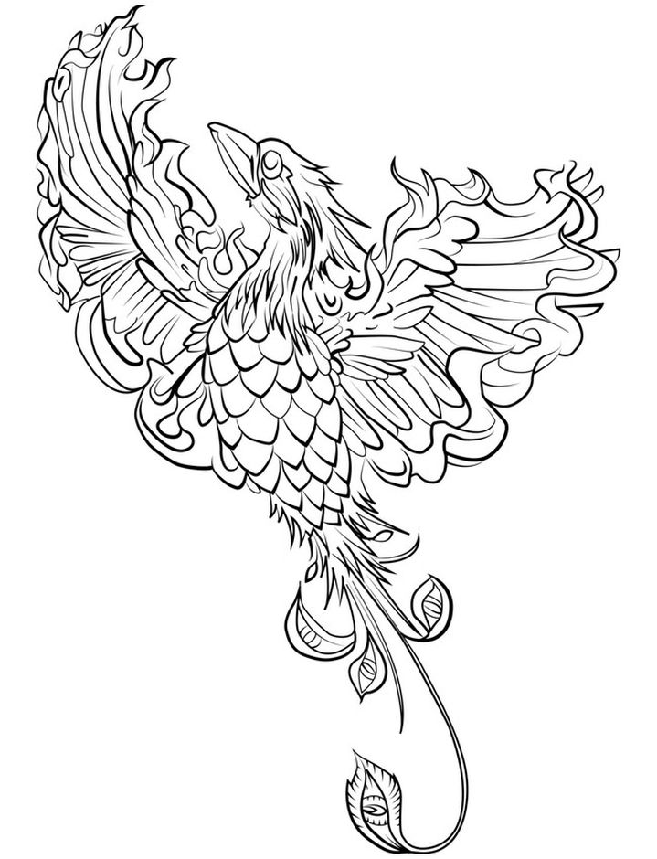 Phoenix Bird Coloring Pages 26