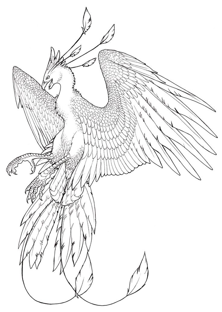 Phoenix Bird Coloring Pages 33