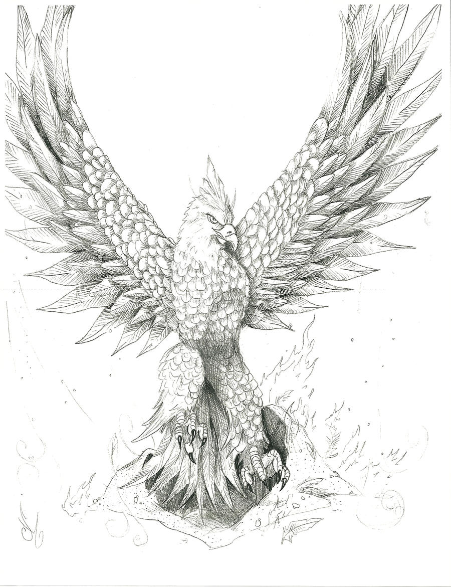 Phoenix Bird Coloring Pages 34