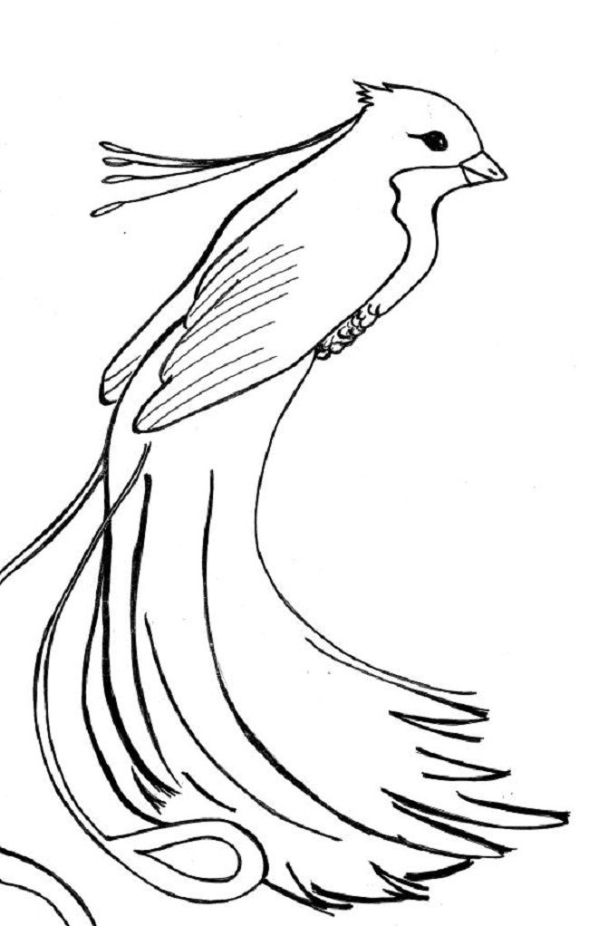 Phoenix Bird Coloring Pages 47