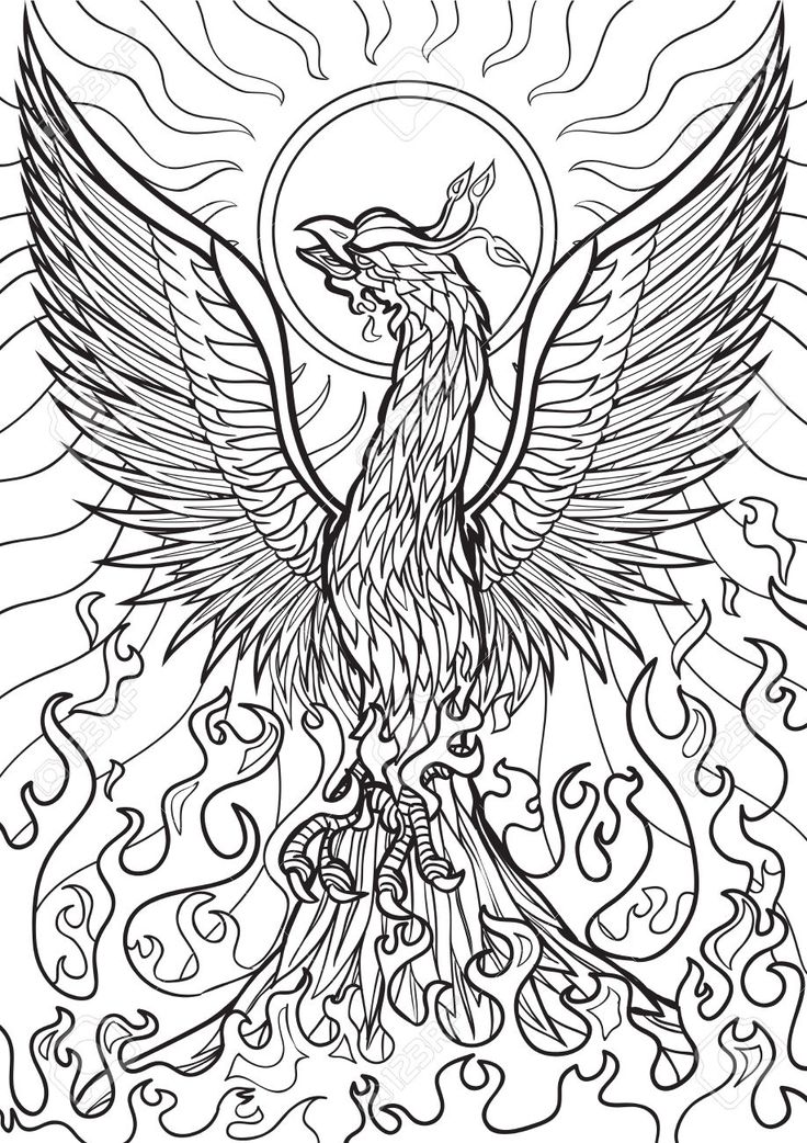 Phoenix Bird Coloring Pages 48