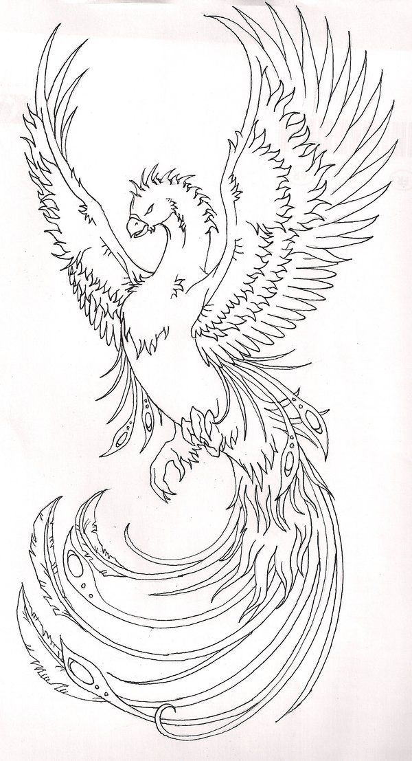 Phoenix Bird Coloring Pages 62