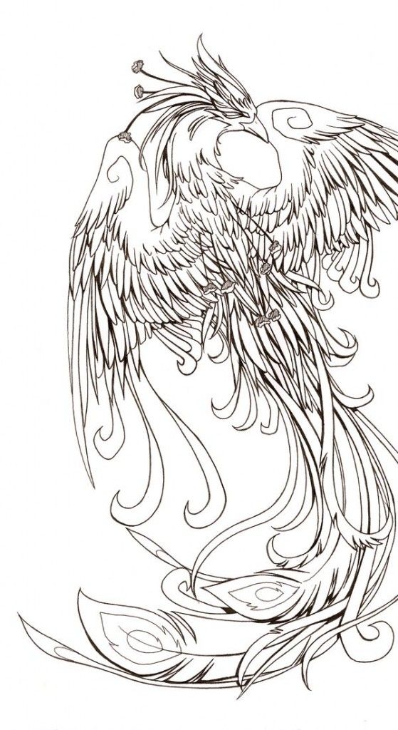 Phoenix Bird Coloring Pages 63