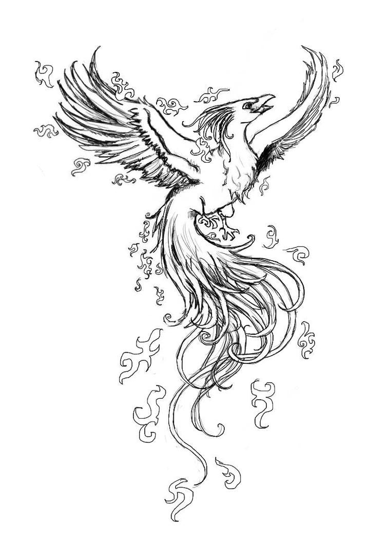 Phoenix Bird Coloring Pages 66