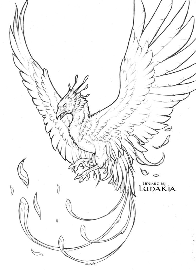 Phoenix Bird Coloring Pages 67