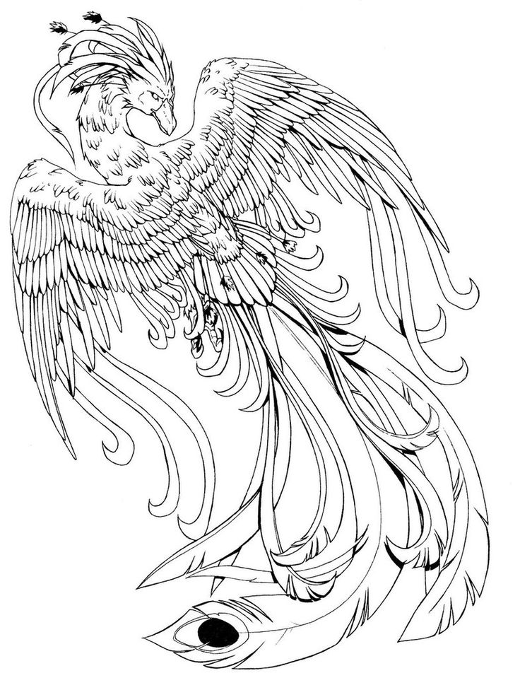 Phoenix Bird Coloring Pages 70