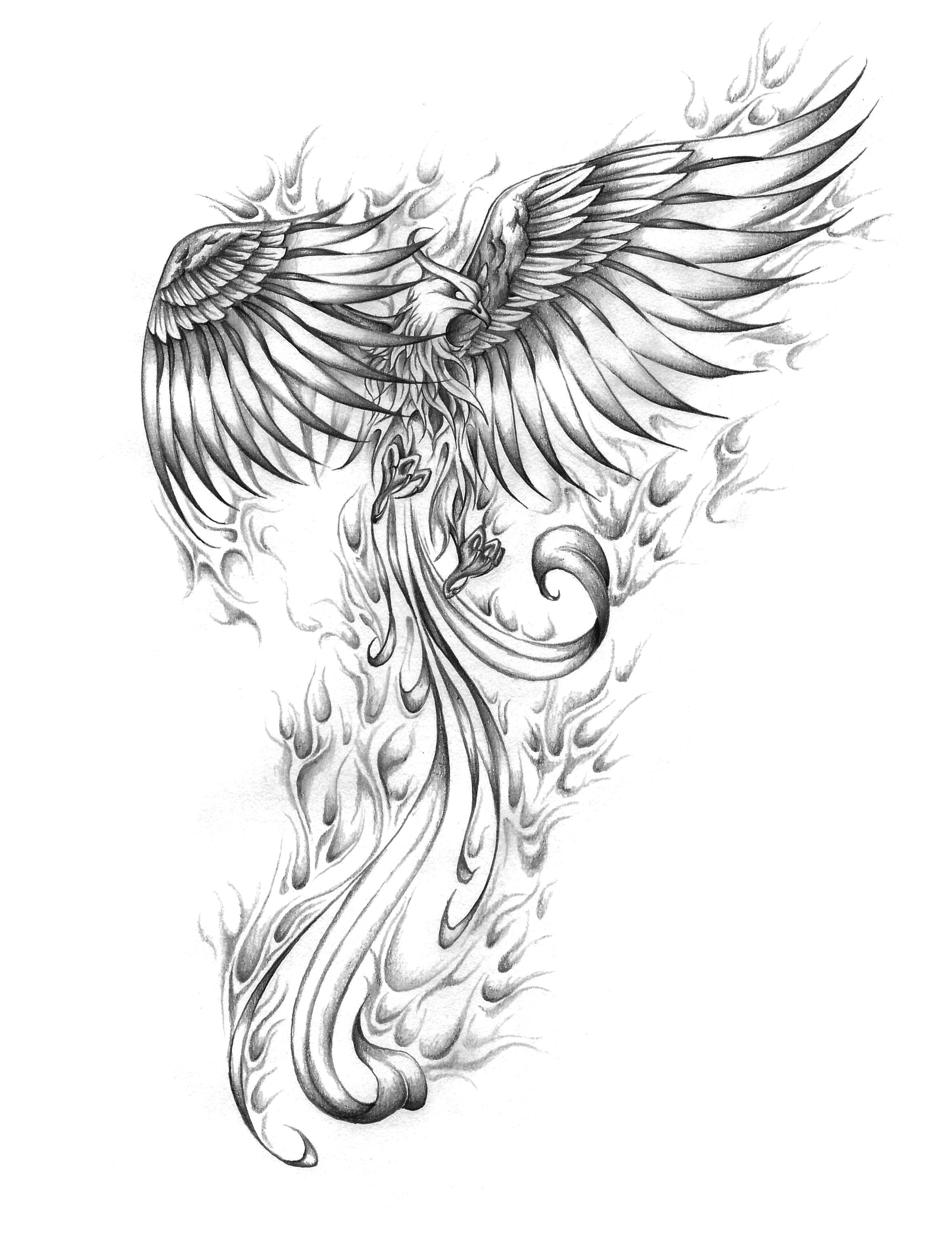 Phoenix Bird Coloring Pages 77