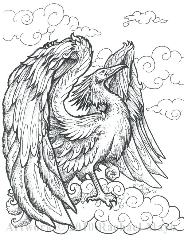 Phoenix Bird Coloring Pages 86