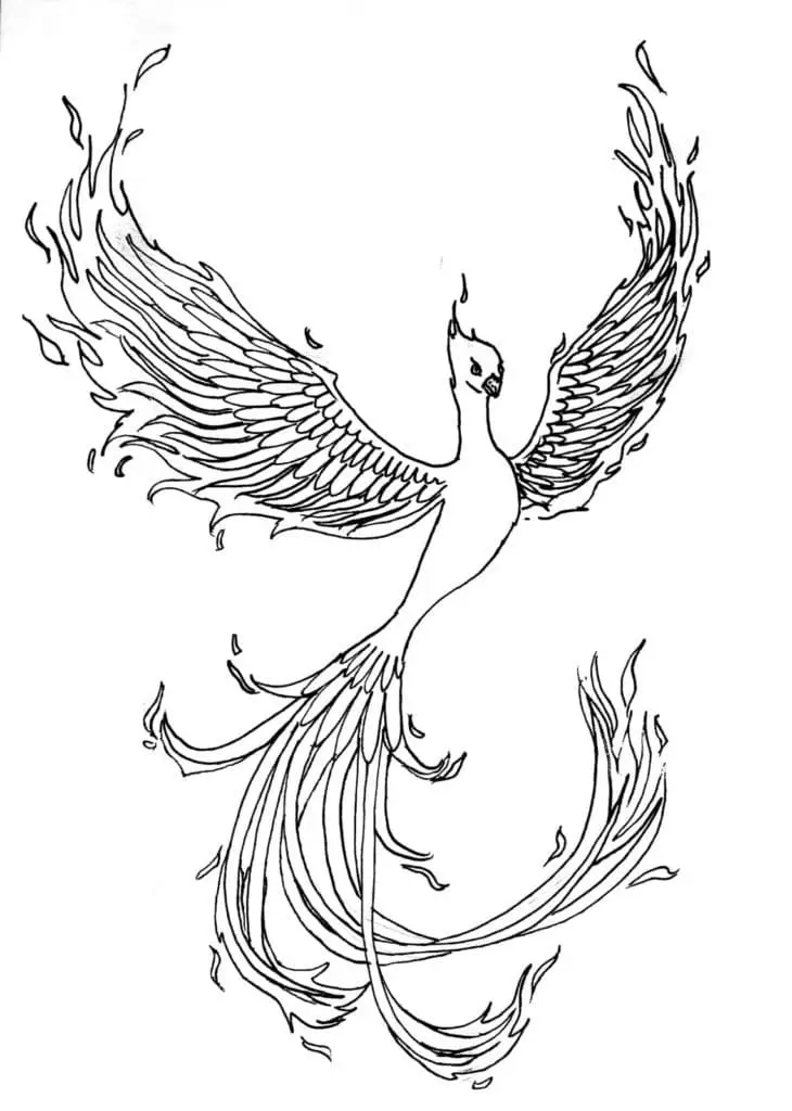 Phoenix Bird Coloring Pages 88