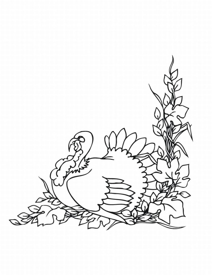 35 Coloring Picture Of A Turkey 19