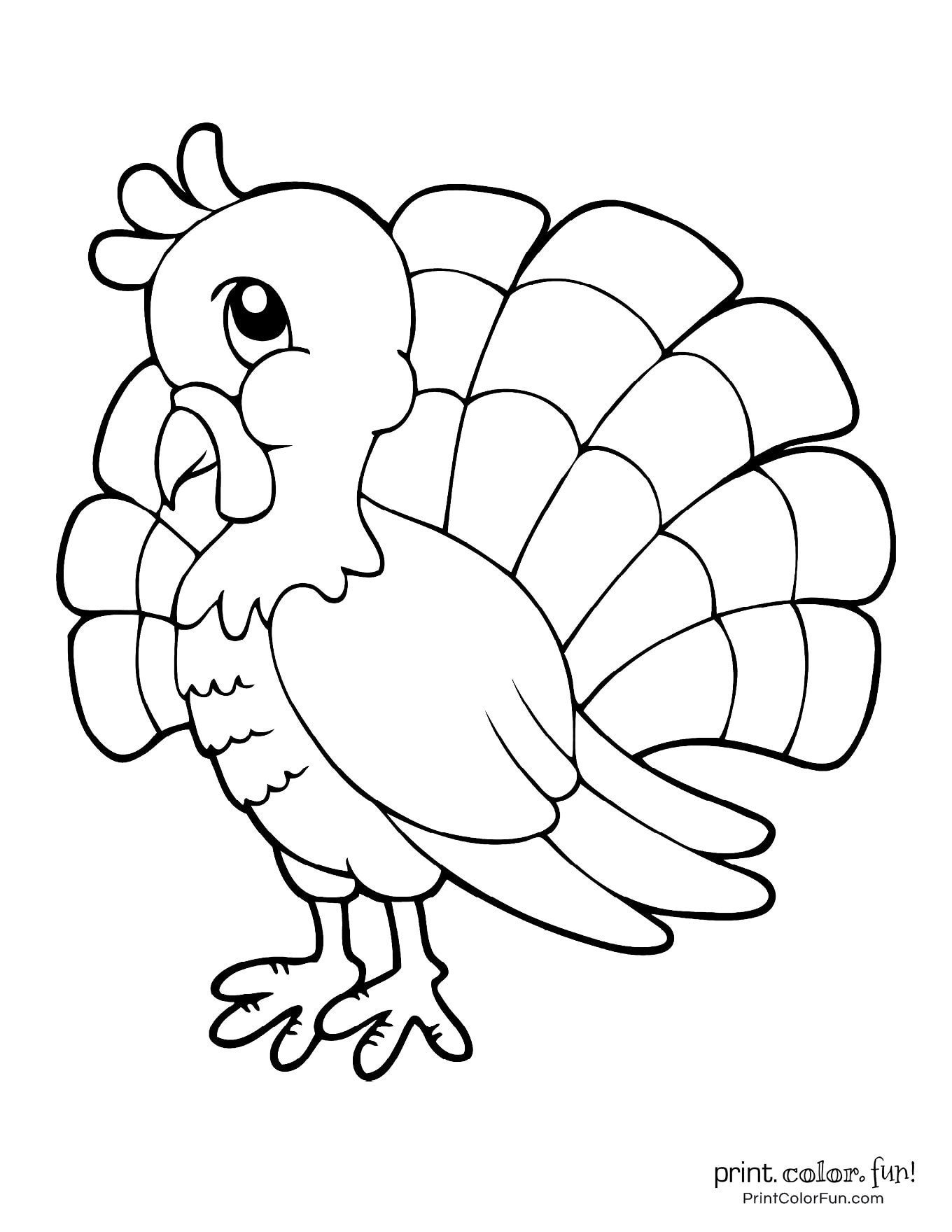 35 Coloring Picture Of A Turkey 21