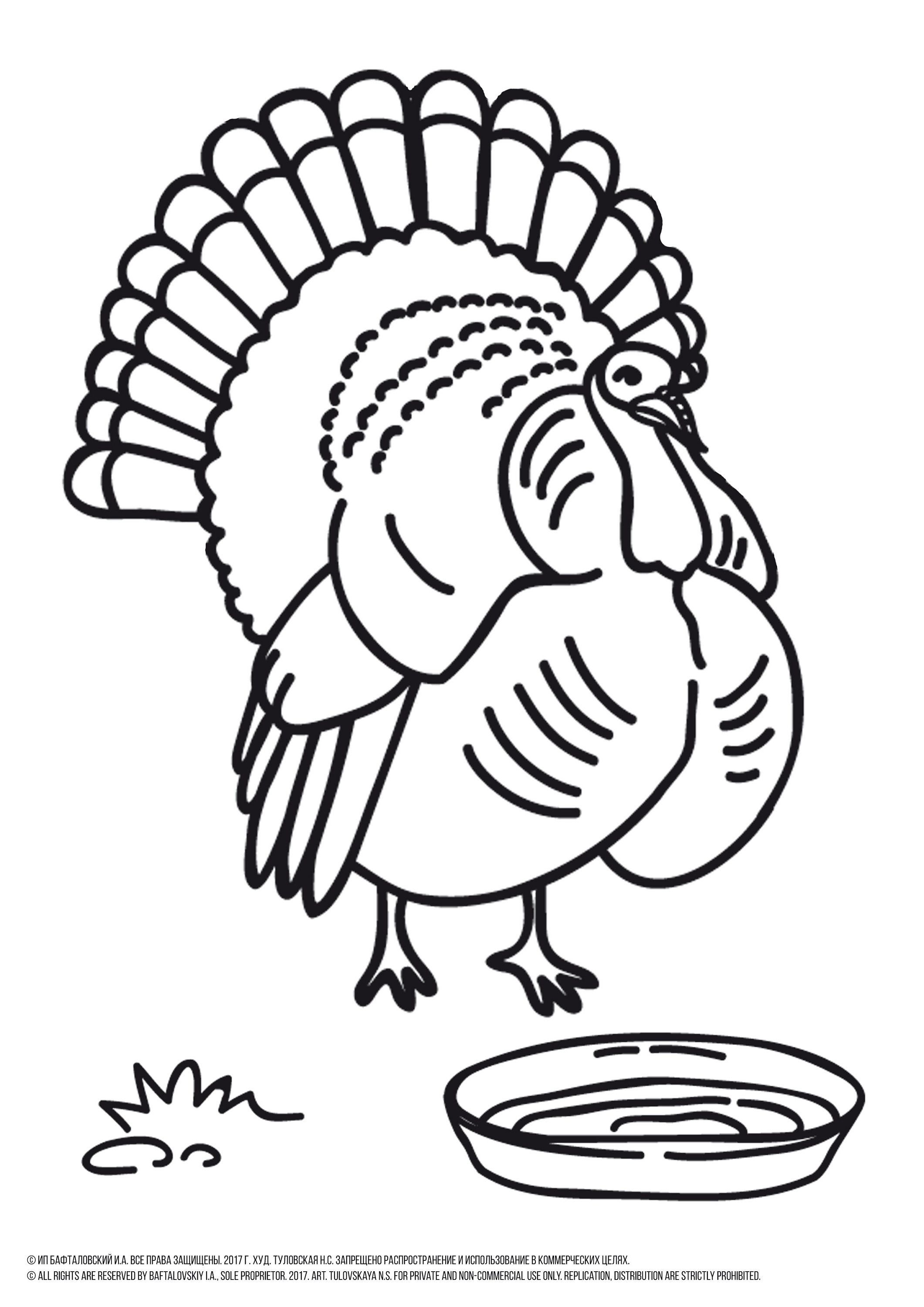 35 Coloring Picture Of A Turkey 42