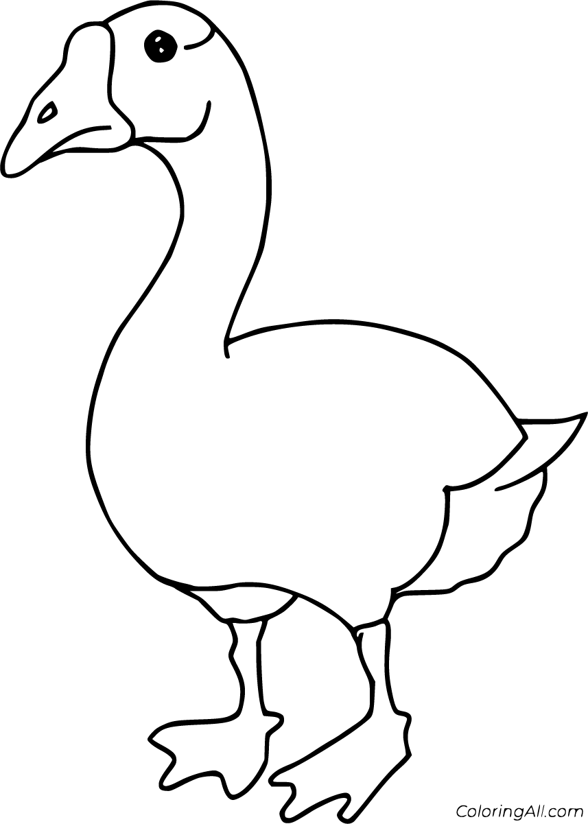 45 Goose Coloring Page 12