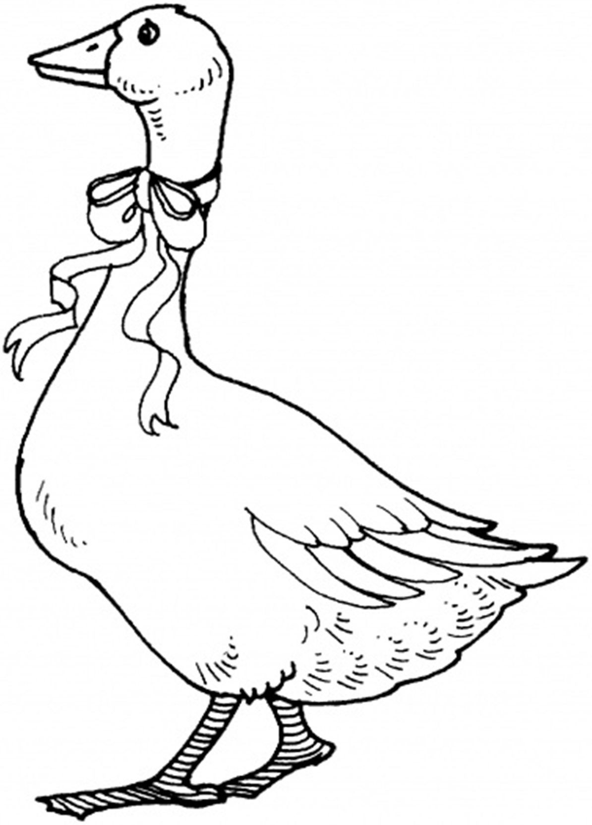 45 Goose Coloring Page 13