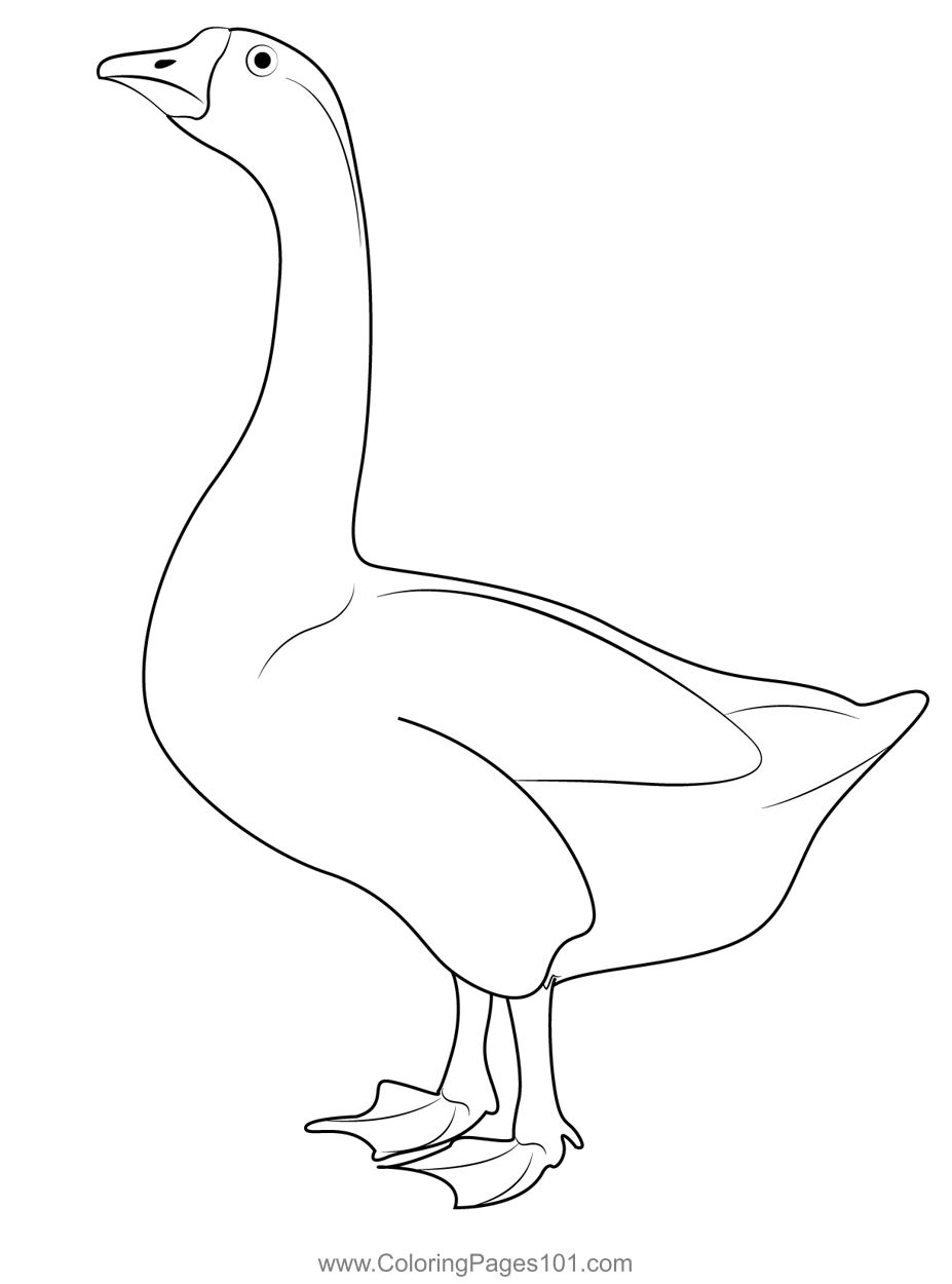 45 Goose Coloring Page 14