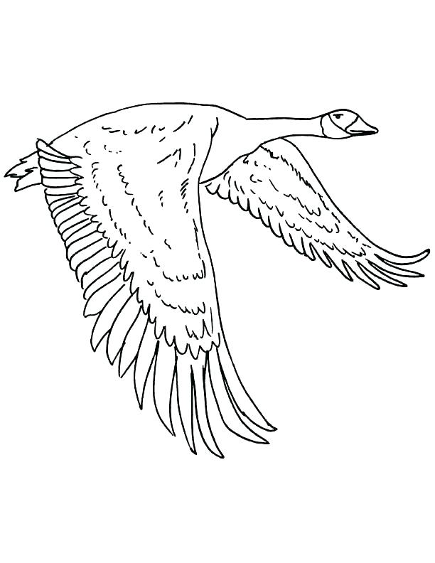 45 Goose Coloring Page 20