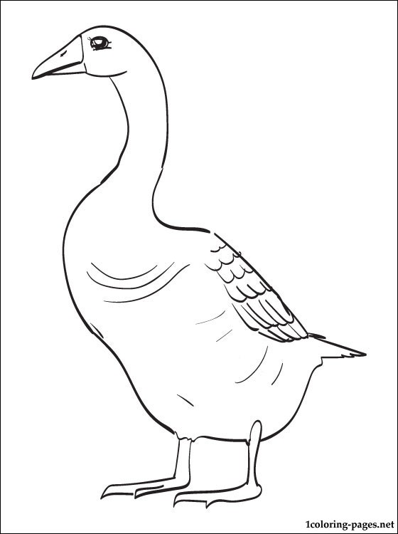 45 Goose Coloring Page 21