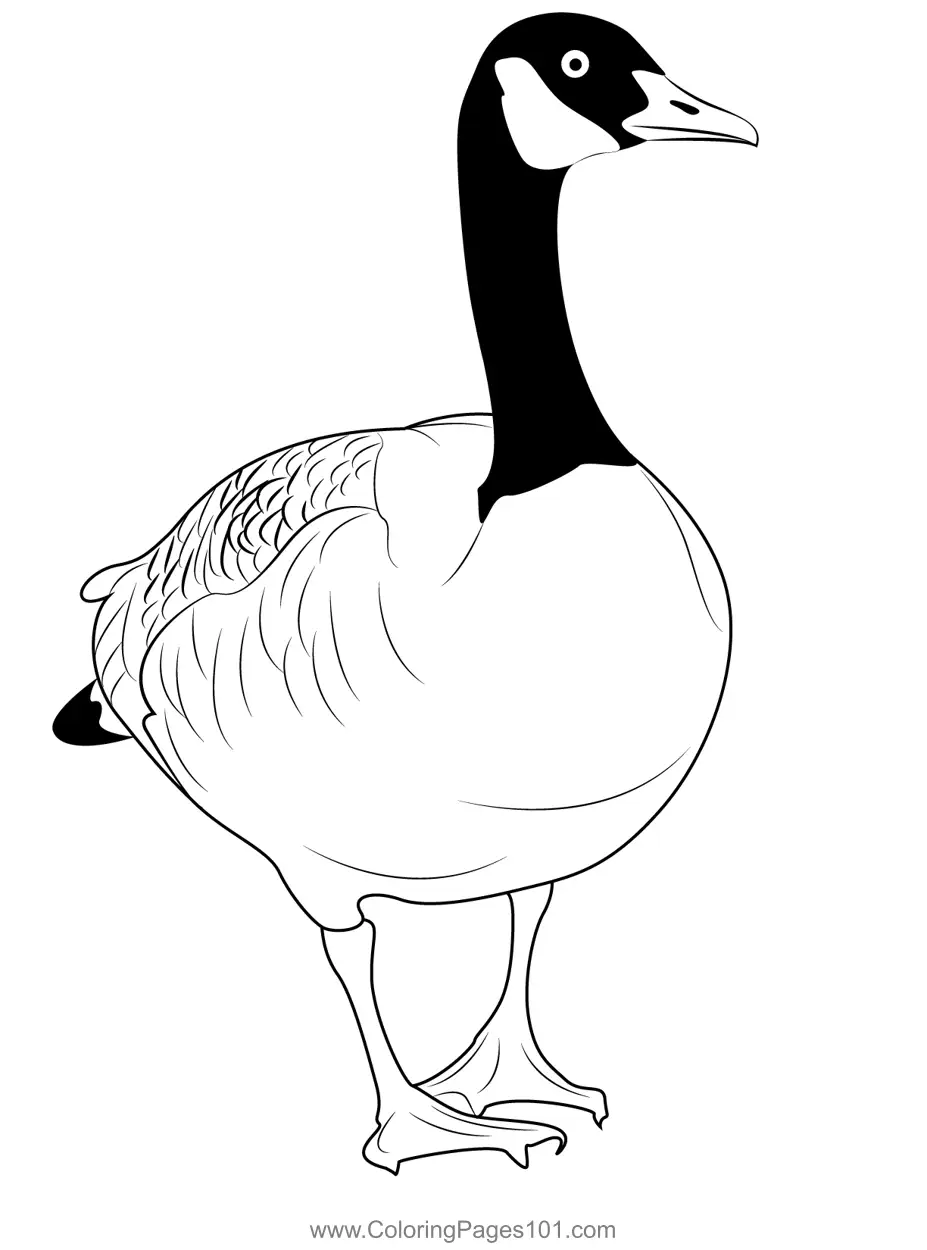 45 Goose Coloring Page 25