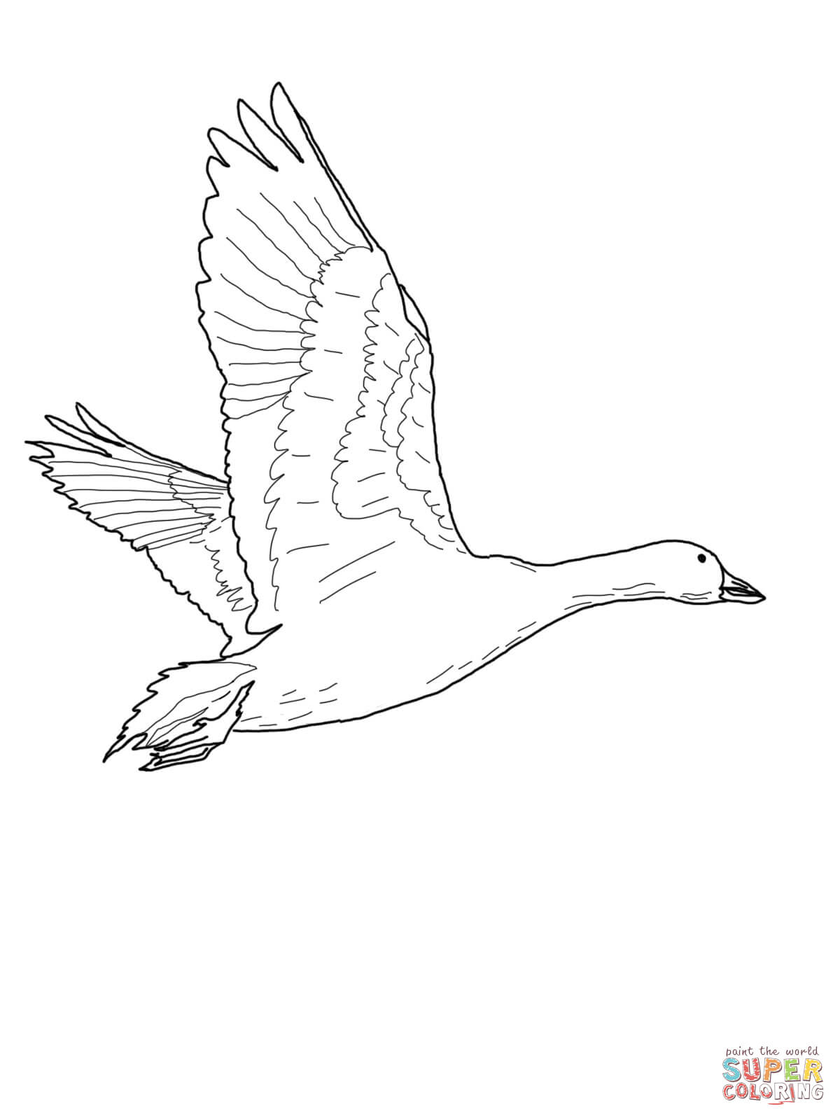 45 Goose Coloring Page 26