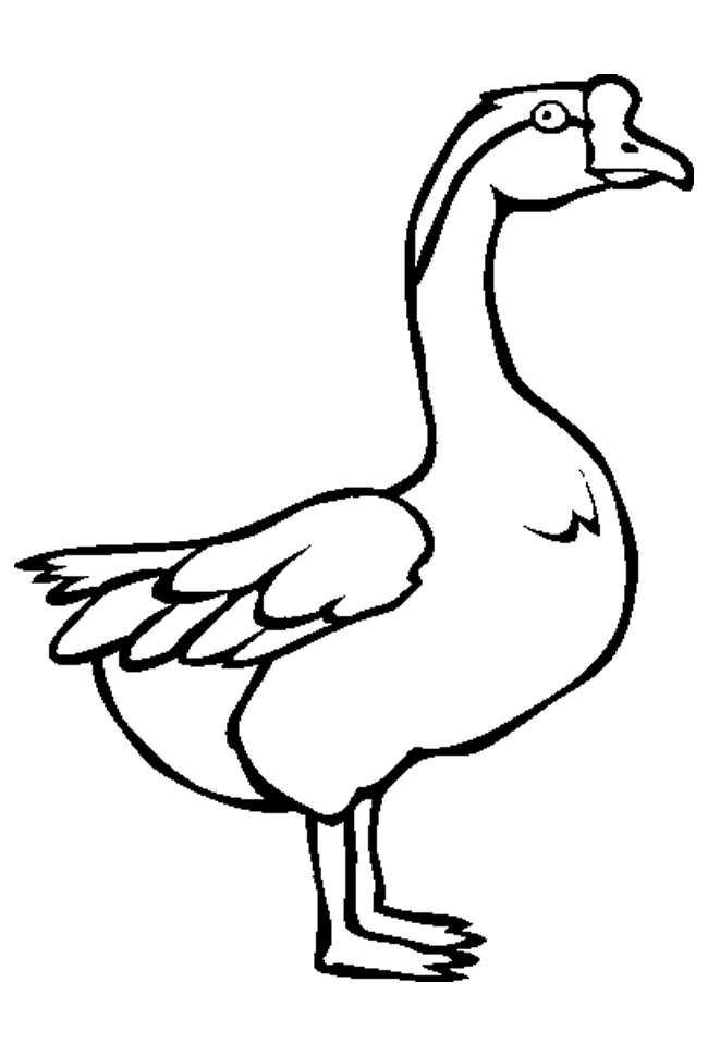 45 Goose Coloring Page 28