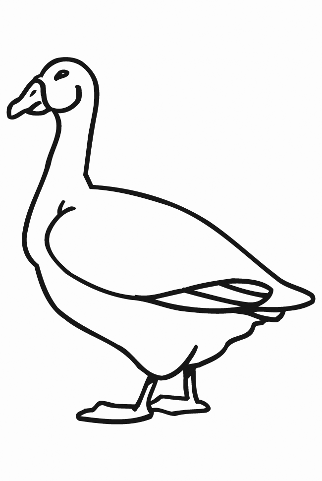 45 Goose Coloring Page 29