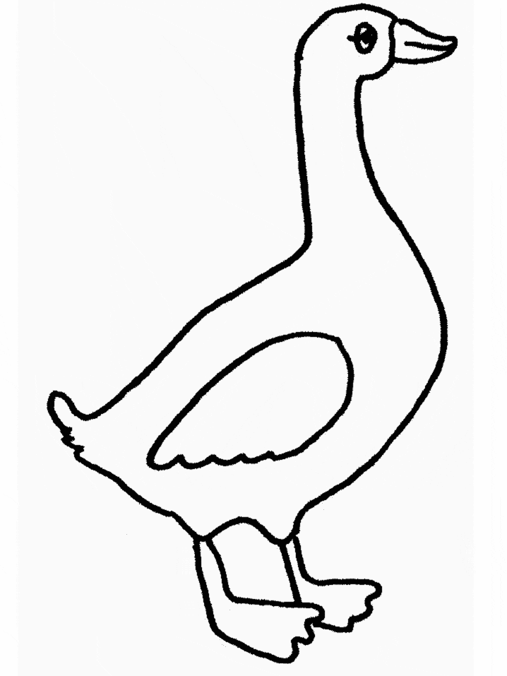 45 Goose Coloring Page 30