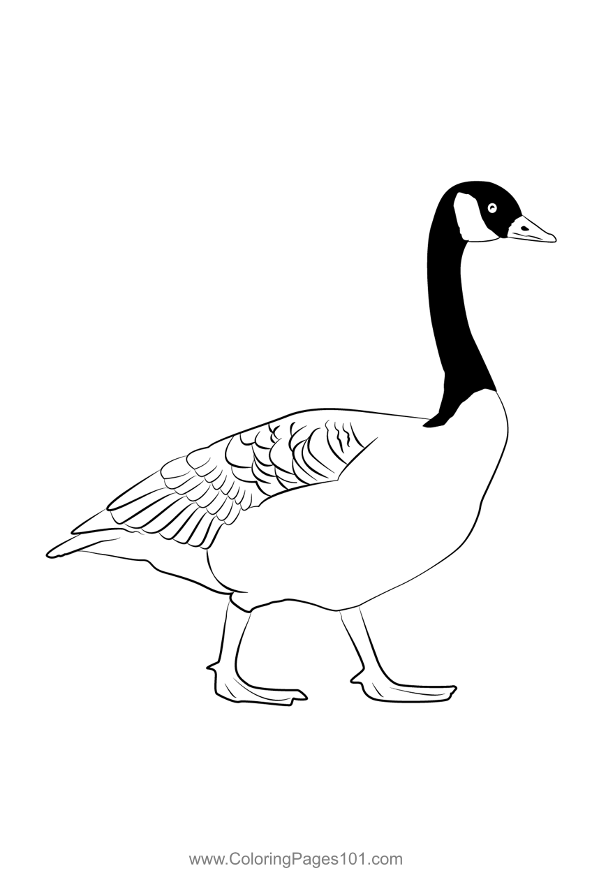 45 Goose Coloring Page 38