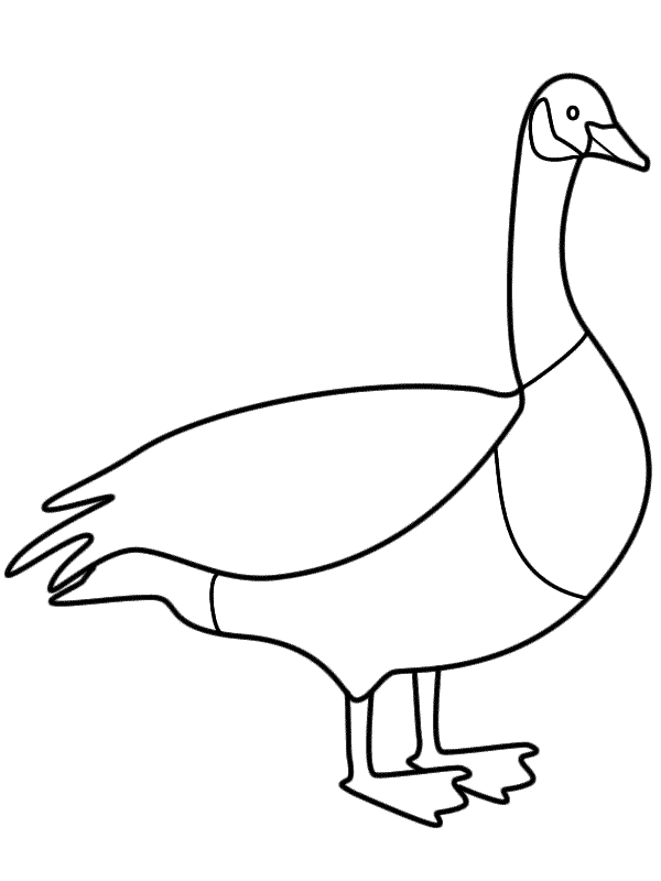 45 Goose Coloring Page 4