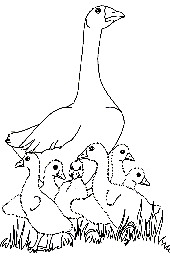 45 Goose Coloring Page 40