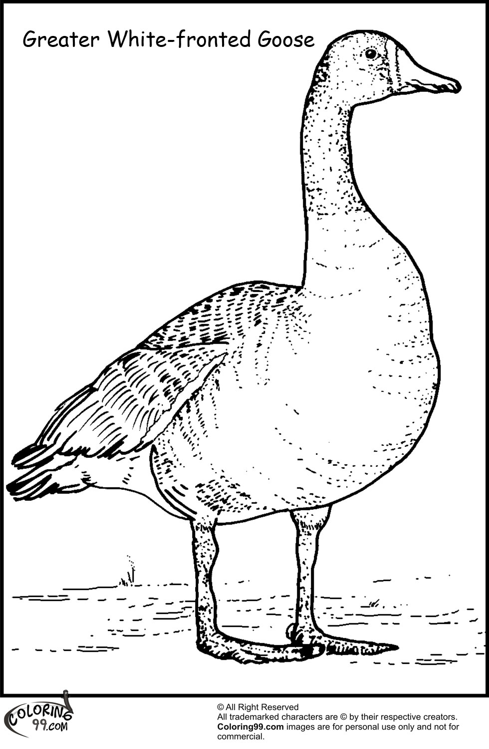 45 Goose Coloring Page 49