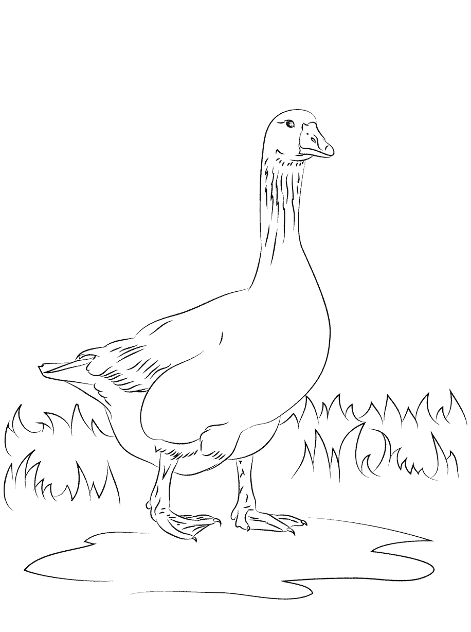 45 Goose Coloring Page 5