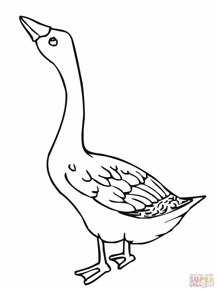 45 Goose Coloring Page 54